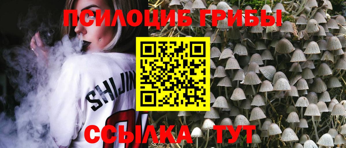 Жуковский  ГАШИШ  Лсд 25  Конопля  Вход с VPN  ГАШ  COCAIN  НБОМе  Меф МЯУ МЯУ кристаллы 