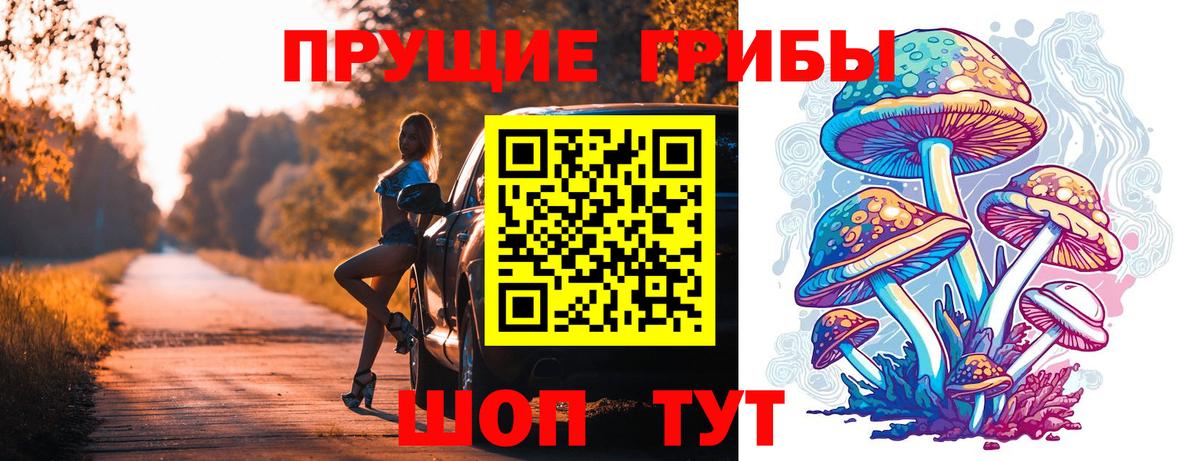 Псилоцибиновые грибы мицелий Жуковский