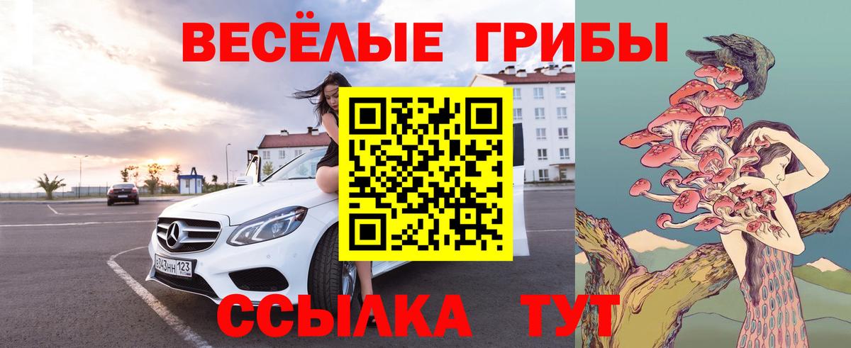 Галлюциногенные грибы Psilocybine cubensis  дарнет шоп  Вход с VPN  Жуковский  Псилоцибиновые грибы Cubensis 